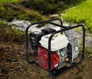 Petrol Water Pump
