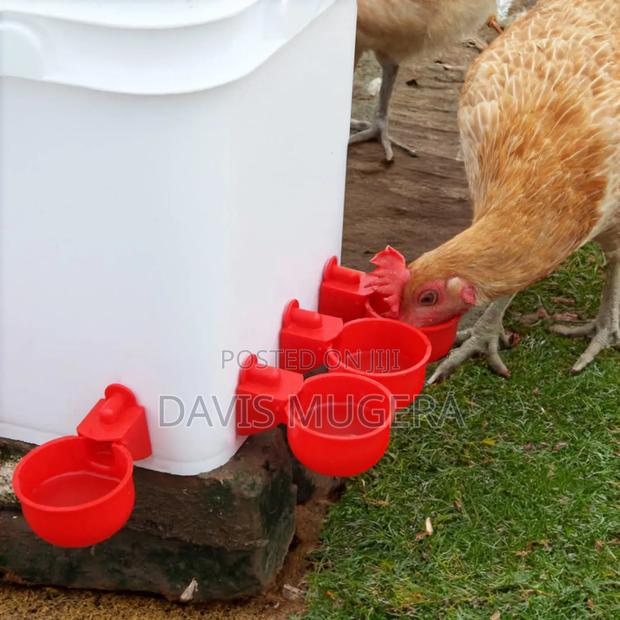 Red Cup Automatic Poultry Drinker Fitted On A Container - main view