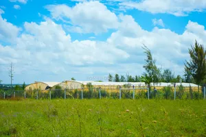 For 1.49 Get a Piece of Kitengela Plains 2