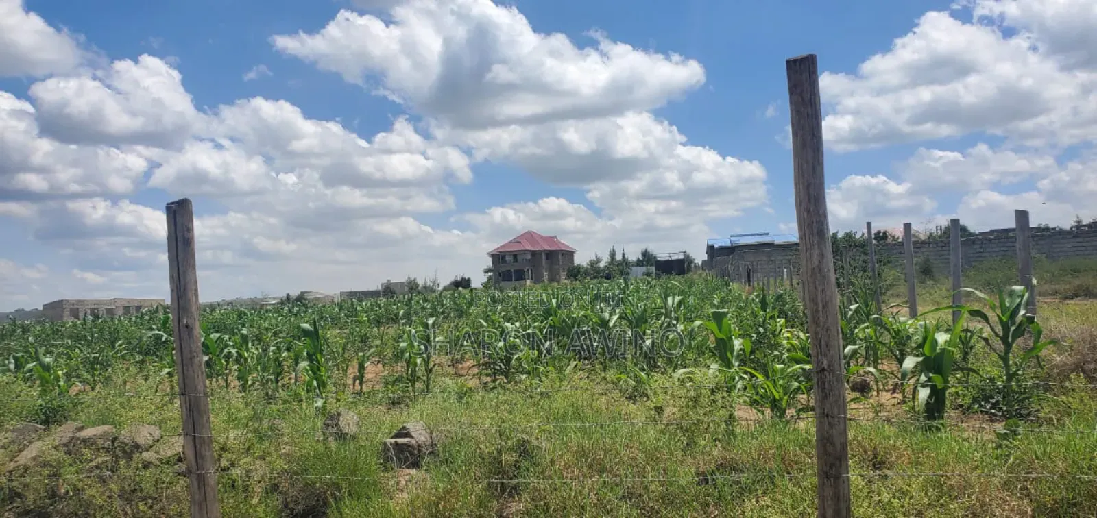 Prime Affordable Plots for Sale in Kitengela Lenchani