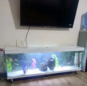 Aquarium Media Stand – Function Meets Tranquility