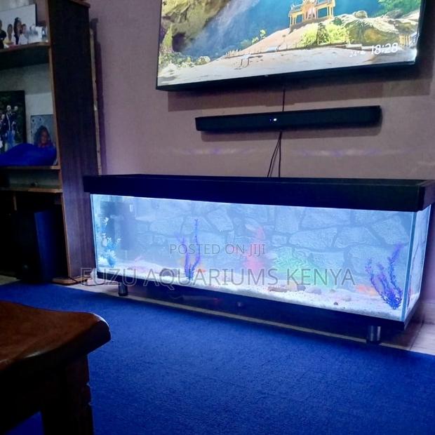 5ft Aquarium Glowtank Tv Unit – Watch Life, Watch Tv