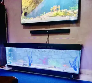 5ft Aquarium –The Focal Point of Your Space