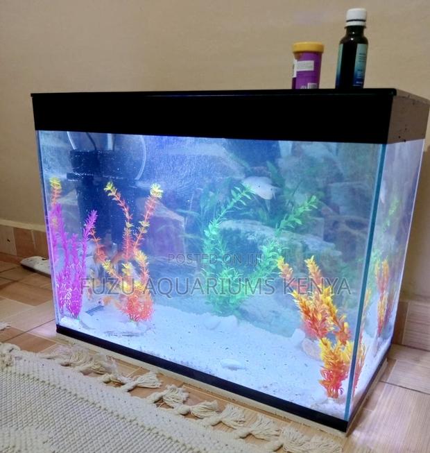 Aquarium Medium Tank – Just the Right Size - main view