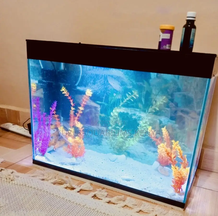 Aquabreeze Aquarium – Mid-Sized Marvel