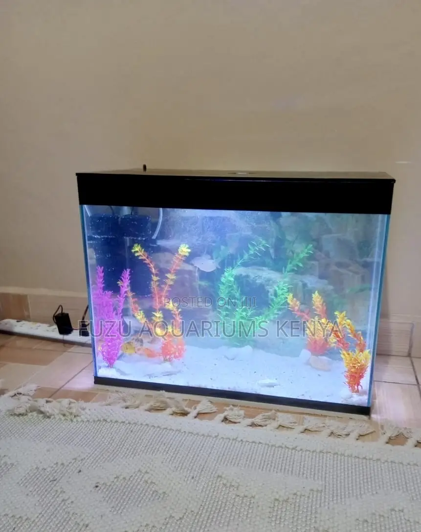 Standalone Aquarium