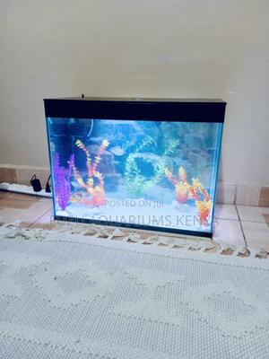 Vibrant Waters – Medium Aquarium Experience - thumbnail 2