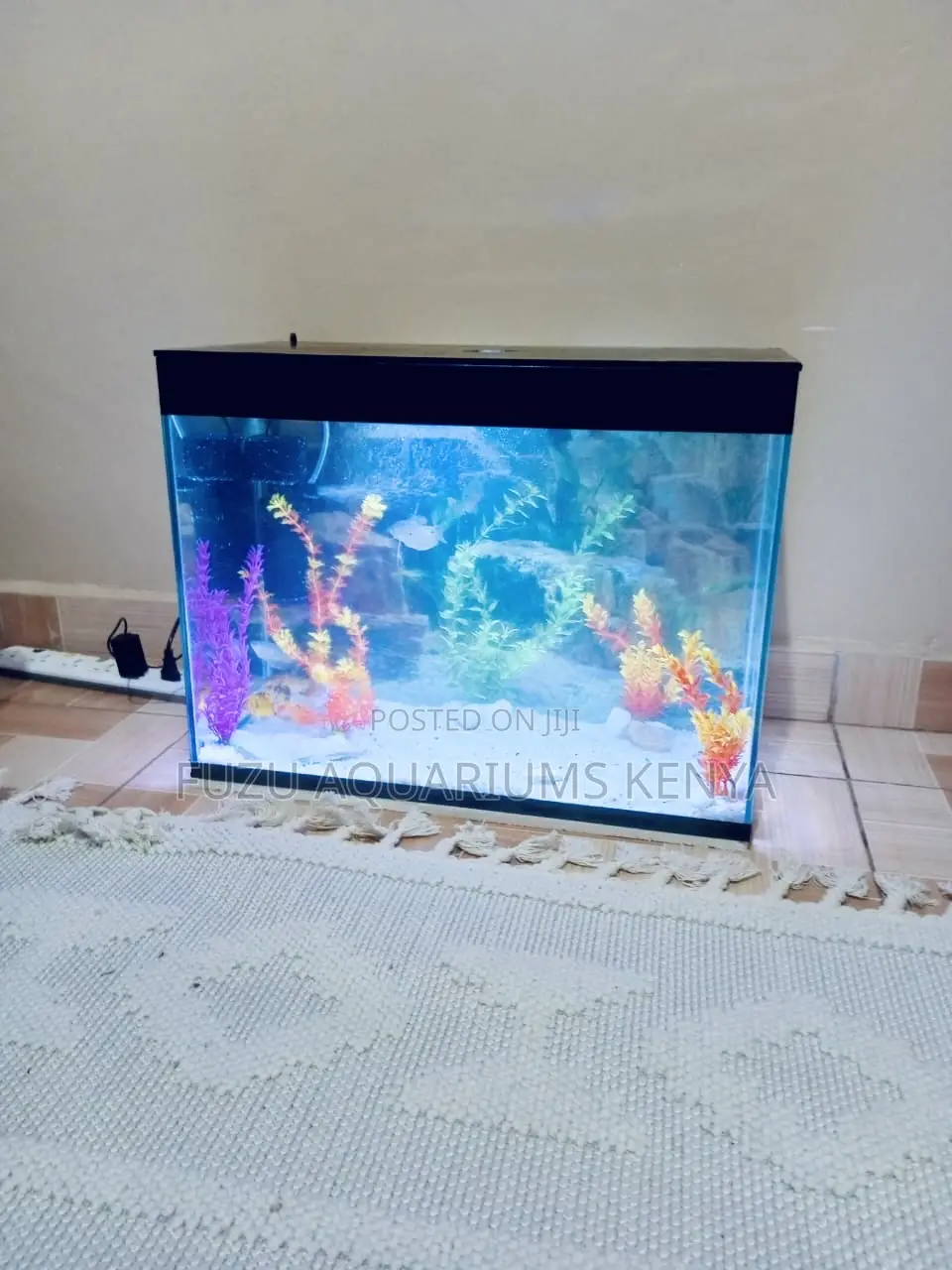 Vibrant Waters – Medium Aquarium Experience