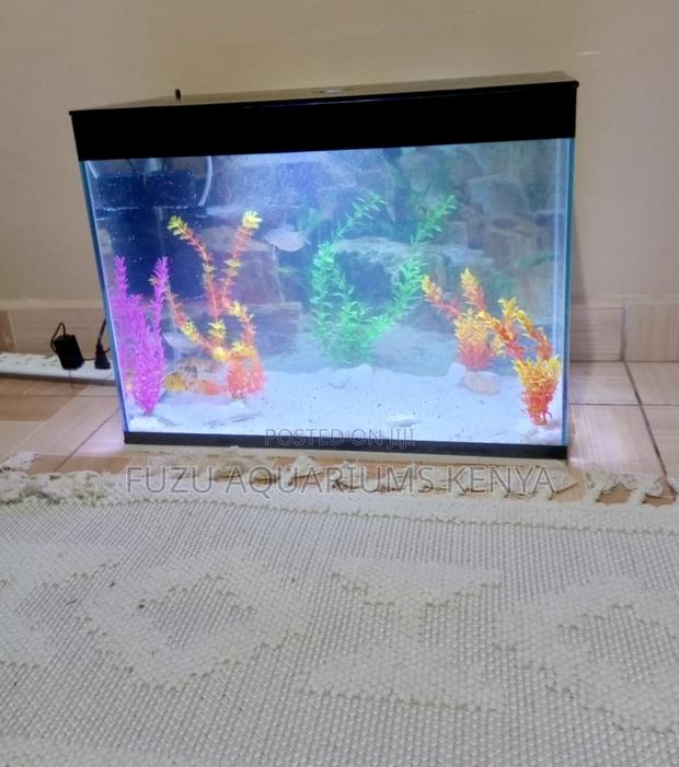 Aquatank Medium – Light Up Your Space - main view