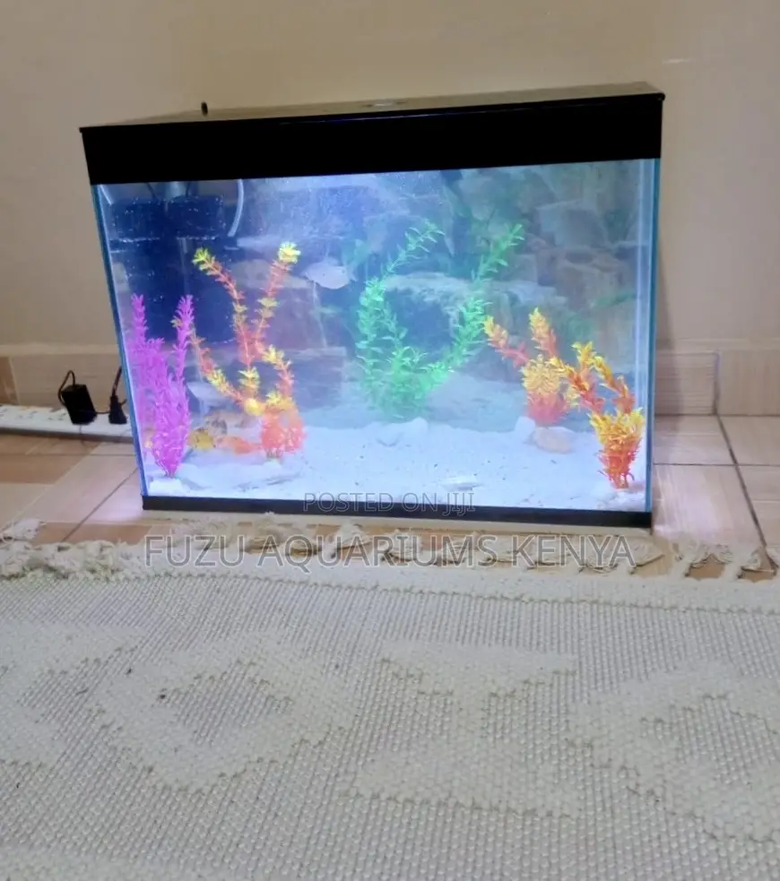 Aquatank Medium – Light Up Your Space