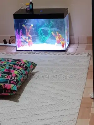 Crystalview Medium Aquarium– Clear Views, Calming Vibes