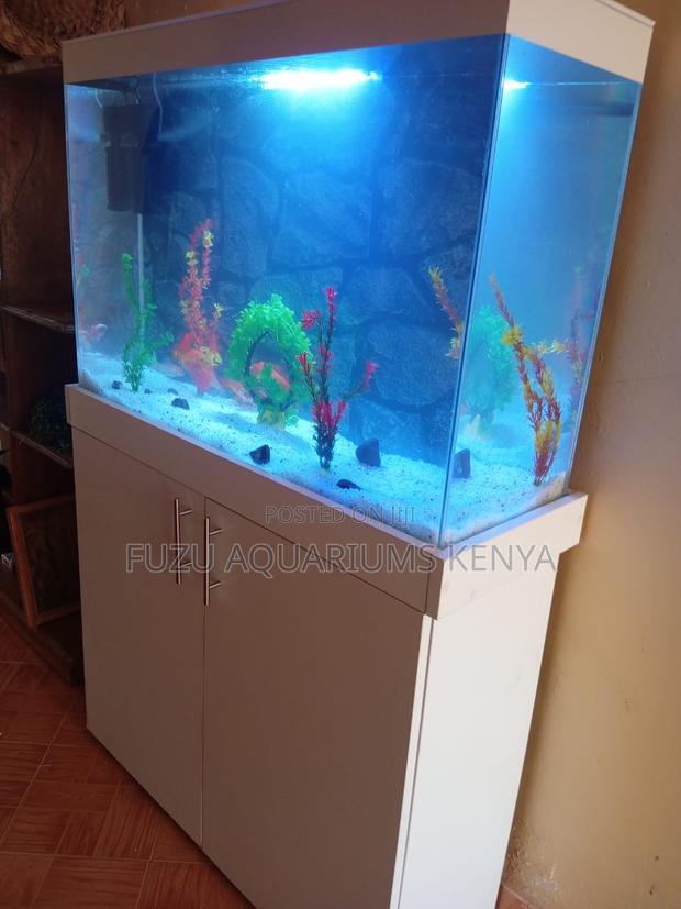 Whitewave Aquarium Set – Pure Elegance, Fully Equipped - main view