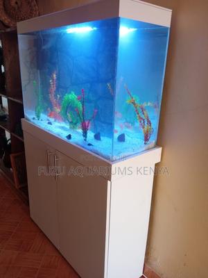 Crystalwhite Aqua Cabinet – Style Meets Serenity - thumbnail 2