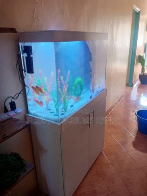 Ivorystream Aquarium – Minimalist Design, Maximum Impact - thumbnail 2