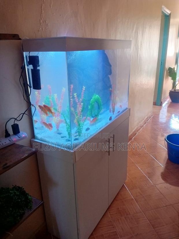 Ivorystream Aquarium – Minimalist Design, Maximum Impact - main view