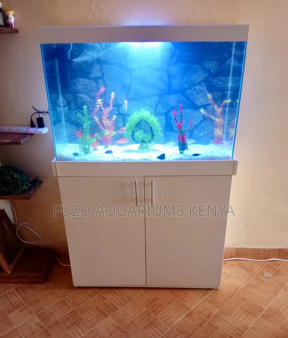Whiteglow Cabinet Aquarium – A Fresh Look for Any Space