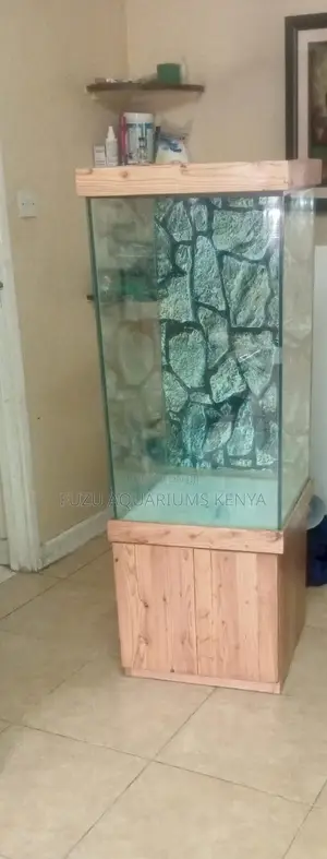 Tall Aquarium- Complete Set Up Lights and 10 Fish