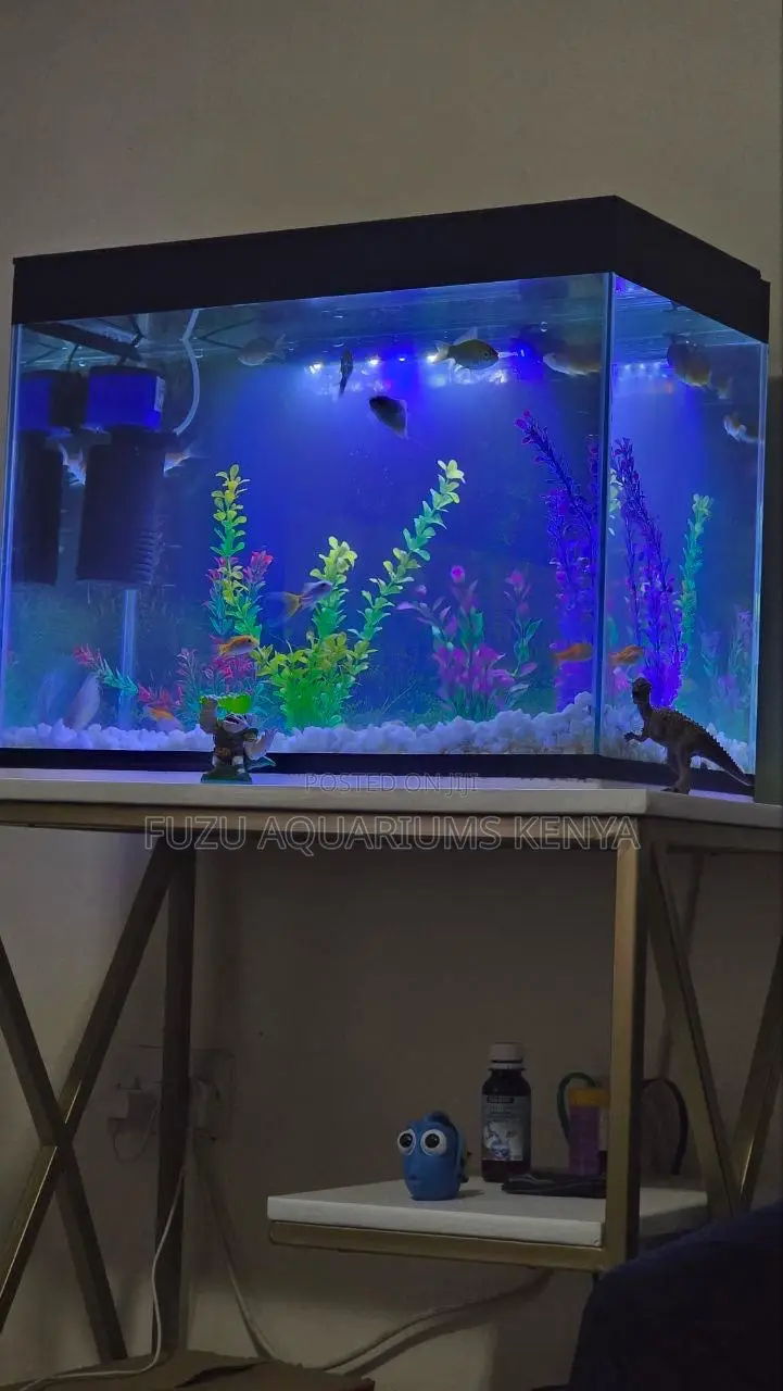 Aquacomplete – The All-in-One Aquarium Experience