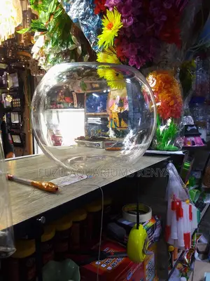 10l Crystalbowl Mini – Simplicity With a Splash of Life