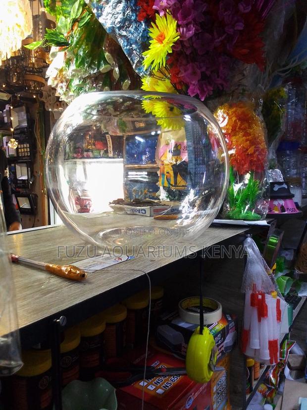 10l Crystalbowl Mini – Simplicity With a Splash of Life