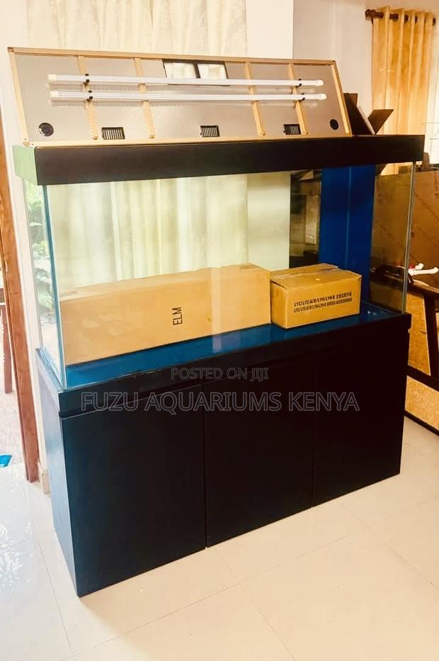 Midnightwaters – Stylish Aquarium With Sleek Black Cabinet