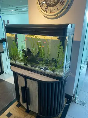 Urbanfin Elegant Aquarium – Where Nature Meets Design
