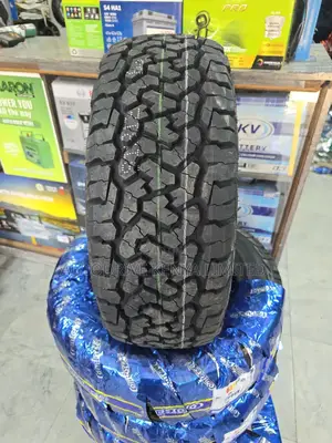 205/60r15 Comforser Cf1100 a/T Tire
