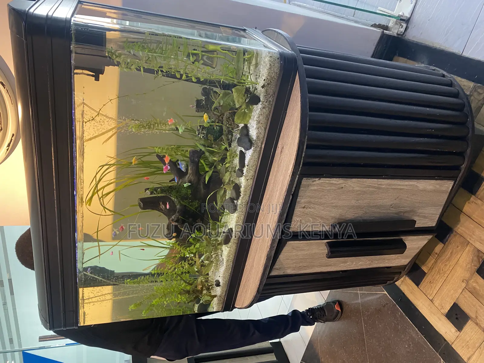 Naturenest Aquarium– Sophisticated Aquatic Living