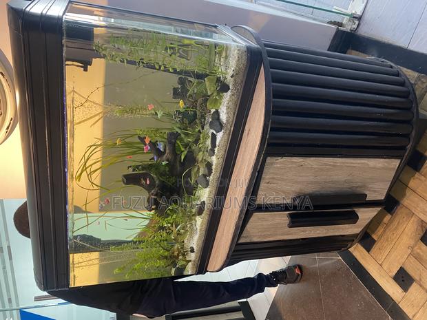 Naturenest Aquarium– Sophisticated Aquatic Living