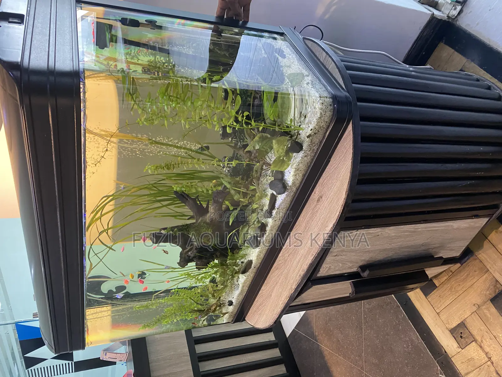 Metroscape Aquarium – Minimalist Yet Bold