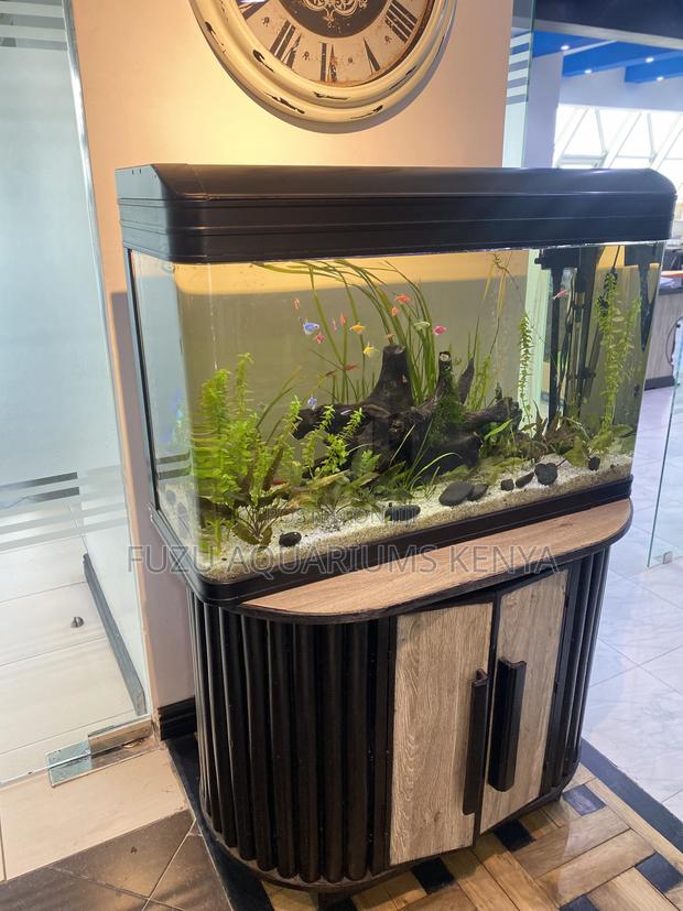 Zencurve Aquarium – Designed to Impress - main view