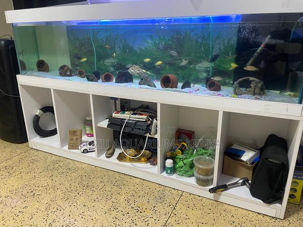 The Panoramic Prestige Wide Aquarium Display - main view