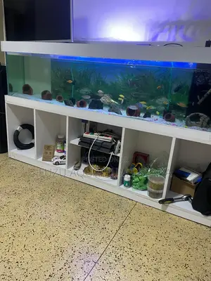Wideview Aquarium Tank Base