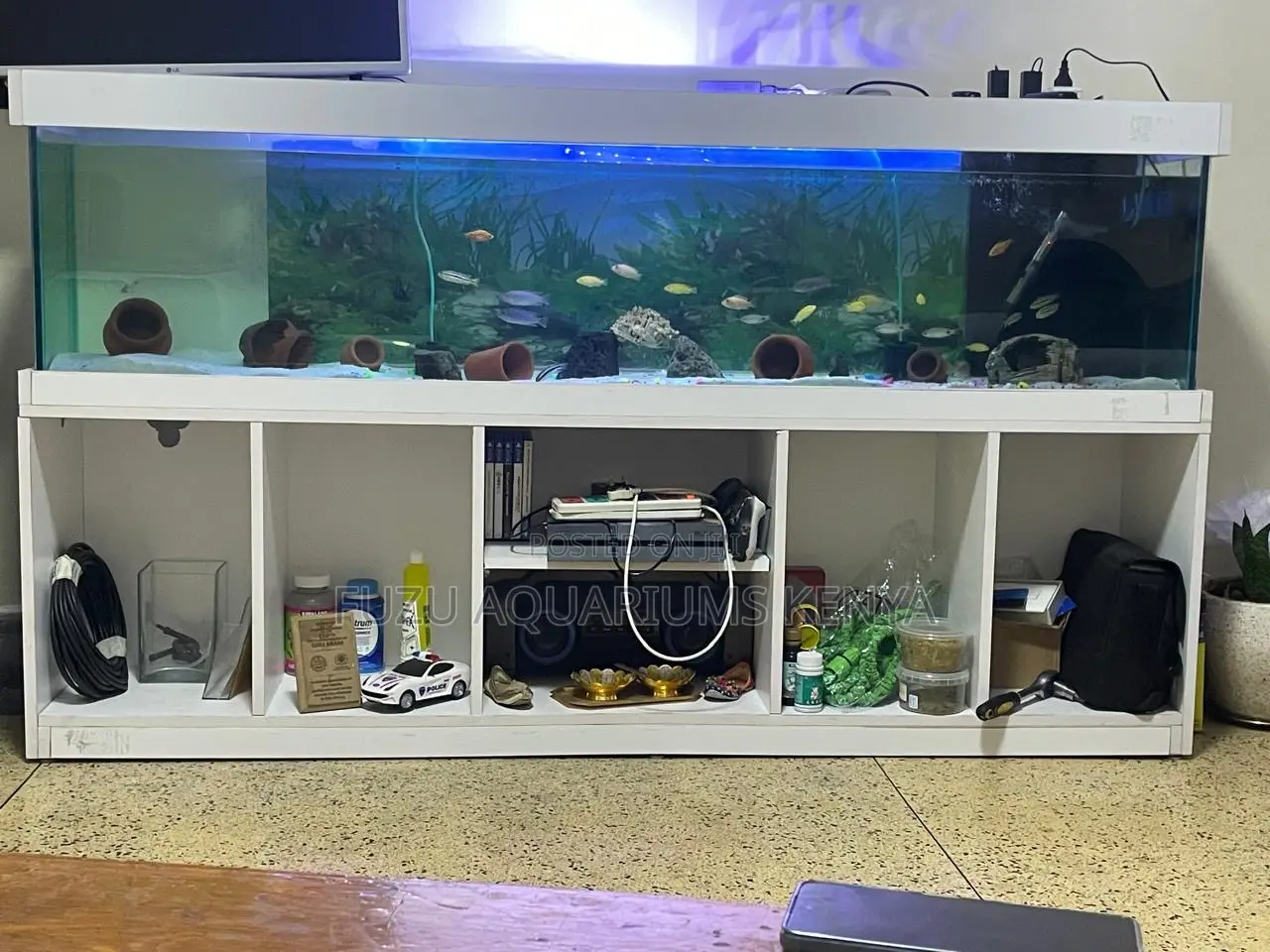 Modern Luxe Aquarium With Dual-Use Stand