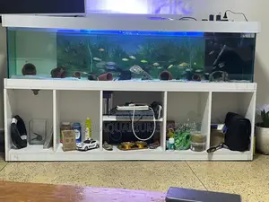 Modern Luxe Aquarium With Dual-Use Stand