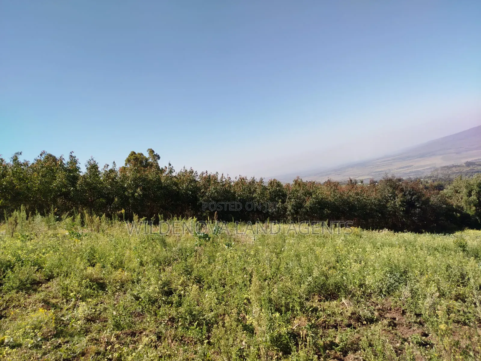 Land on Sale at Flyover Viewpoint Naivasha
