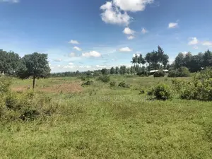 2 Acres on Highway [ Narumoru ]