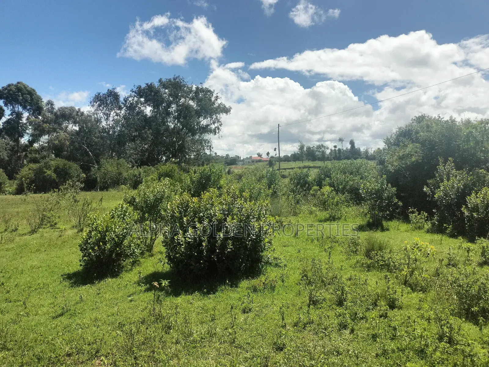 2 Acres on Highway [ Narumoru ]