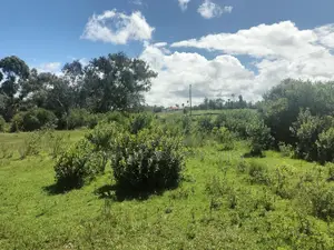2 Acres on Highway [ Narumoru ]