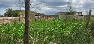 Affordable Plots in Kamakis