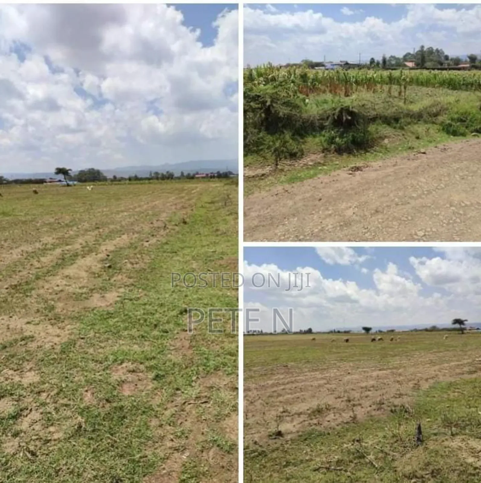 Prime Half Acre Plots Mbaruk Nakuru With Ready Title Deeds