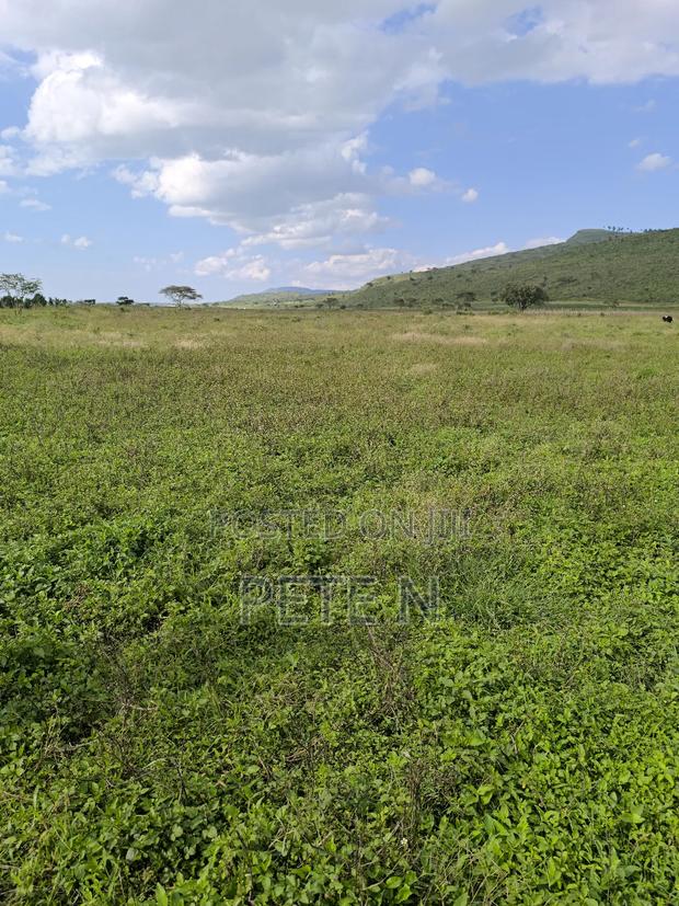 Prime Half Acre Plots Mbaruk Nakuru With Ready Title Deeds - thumbnail 3