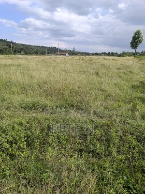 4 Acres Block Flat Land in Mbaruk Nakuru Ready Title Deed
