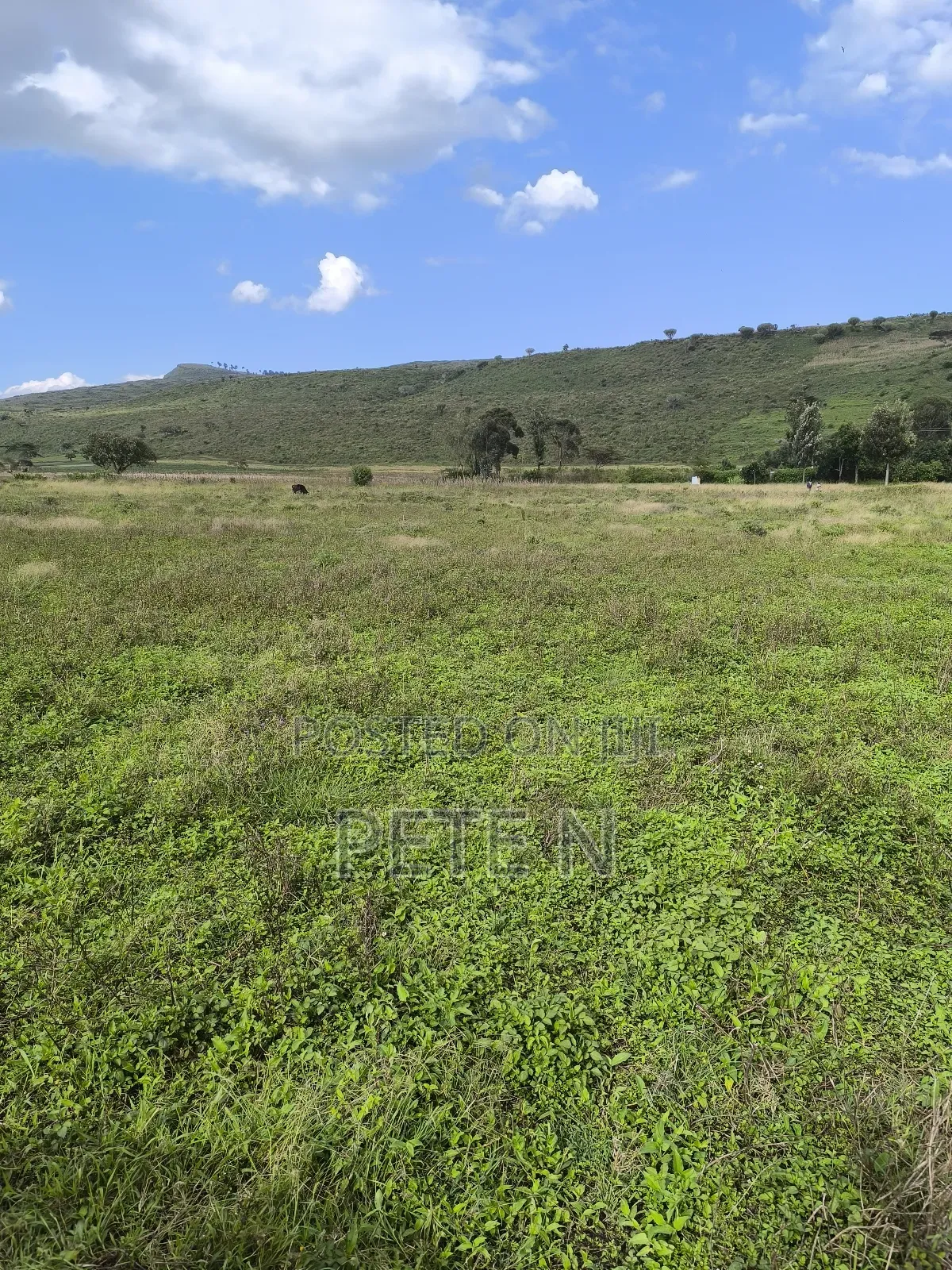 5 Acres Block Flat Land in Mbaruk Nakuru Ready Title Deed