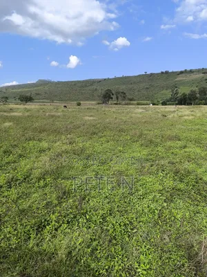 5 Acres Block Flat Land in Mbaruk Nakuru Ready Title Deed