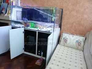 Aquarium Maintenance and Cleaning