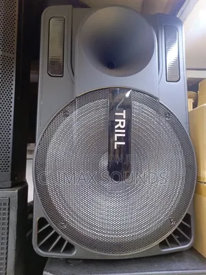 Powered Speaker 15 Inc 2 Microphone