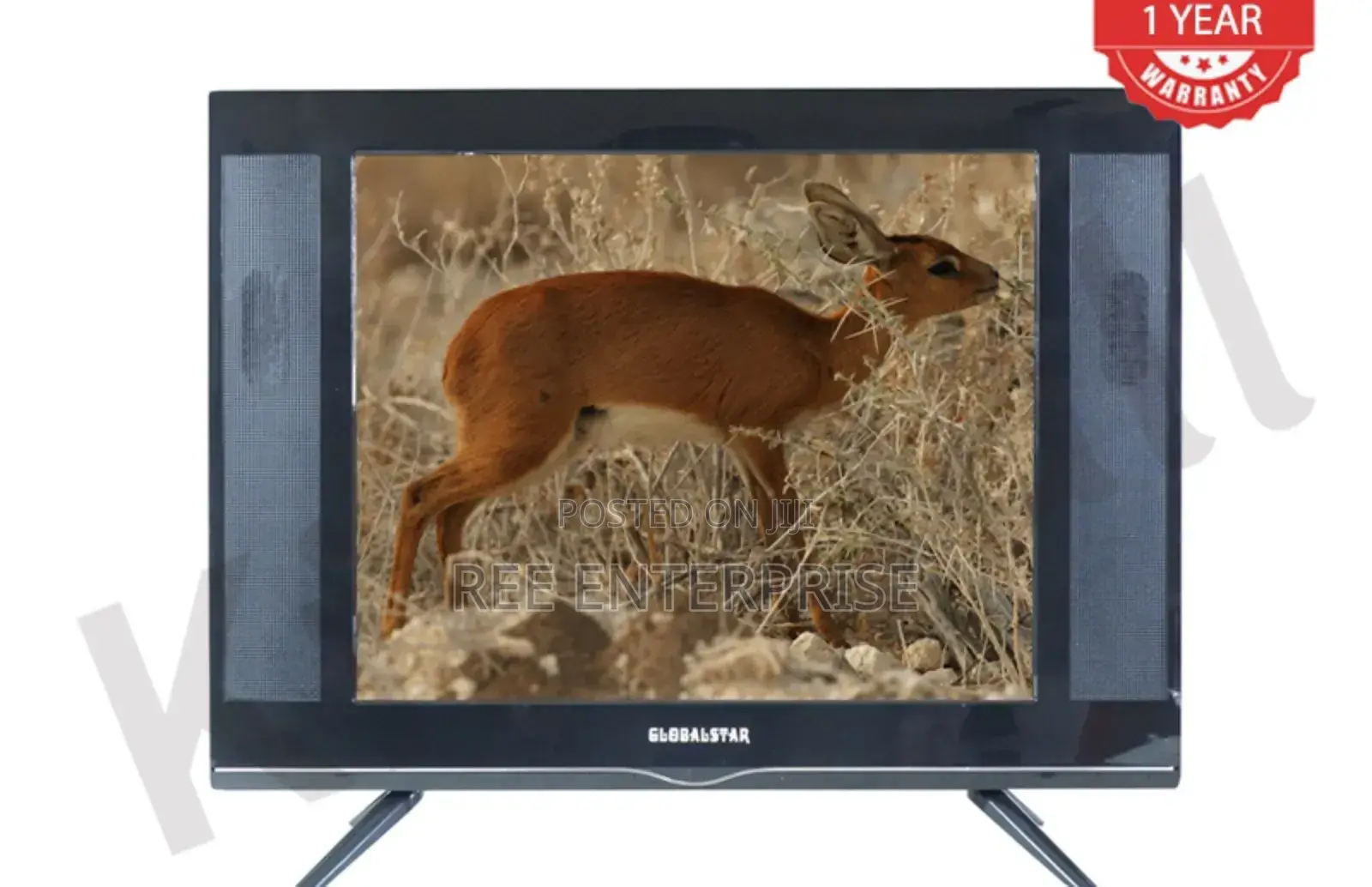 Globalstar Tv 22 Inch.