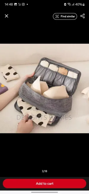 Undergarments Organizer Bags_car