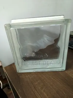 Building Glass Blocks (Clear)